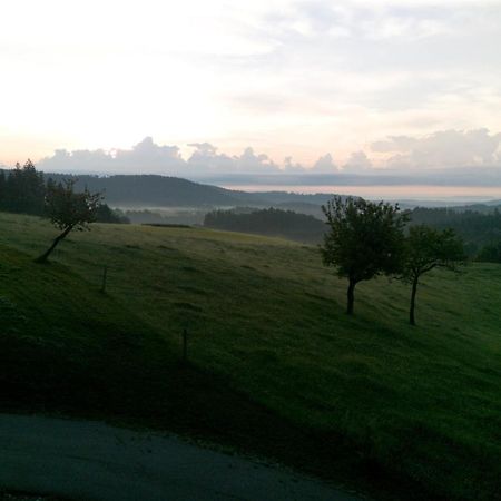 Urlaub An Der Grenze Apartment Lauterbach  Luaran gambar
