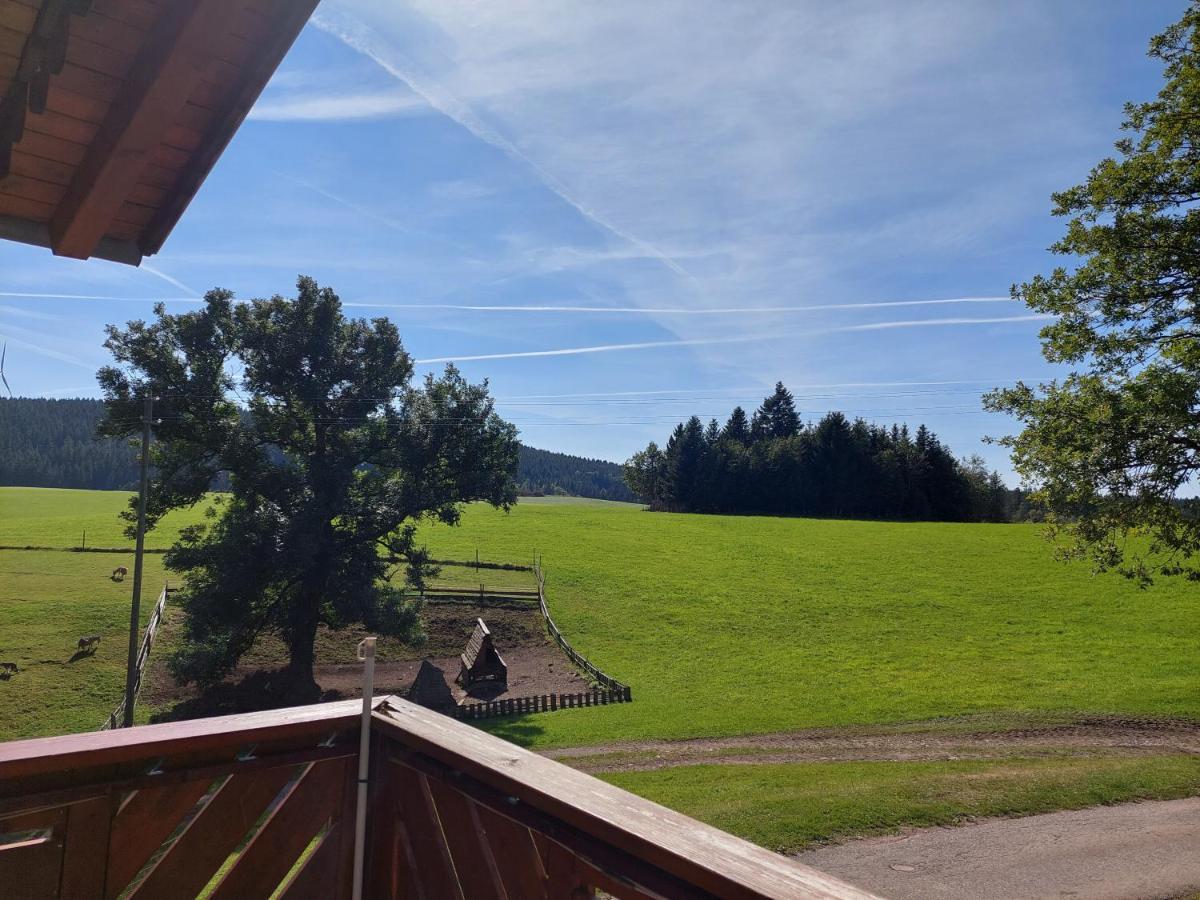Urlaub An Der Grenze Apartment Lauterbach  Luaran gambar