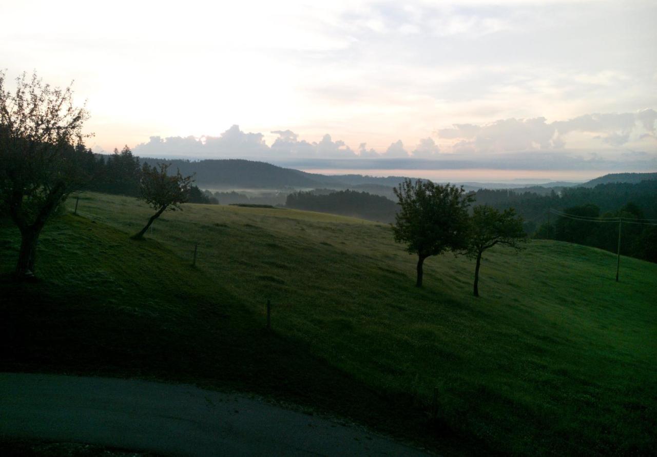Urlaub An Der Grenze Apartment Lauterbach  Luaran gambar